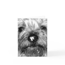 snowflake card