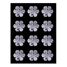 Snowflake Crystal Photos Post Cards