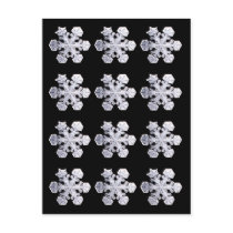 Snowflake Crystal Photos