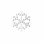 Snowflake embroidered shirts