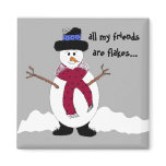 Snowflake magnets