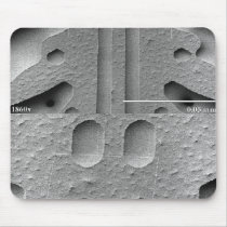 Snowflake Magnification Series