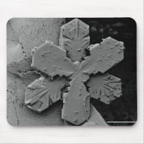 Snowflake