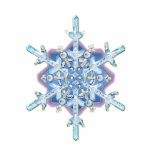 snowflake photo sculptures