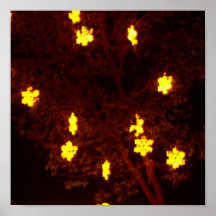 Snowflake Stars Print