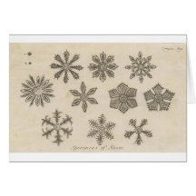 Snowflakes - 1791 cards