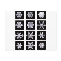 Snowflakes Post Cards