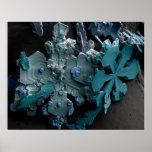 Snowflakes posters