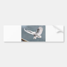 Snowings Bumper Stickers