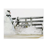 Snowman in winter in the Netherlands Post Cards