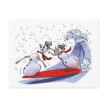 sNoWmEn SuRfErS Post Card