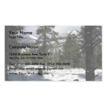 Snows In Flagstaff At Arizona And On Mt. Elden Business Cards