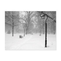 Snowscape II, Philadelphia Post Card