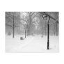 Snowscape II, Philadelphia Post Card