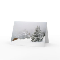 Snowstorm at the Crags