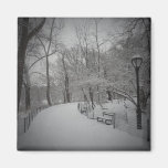 Snowstorm, Central Park, New York City Fridge Magnet
