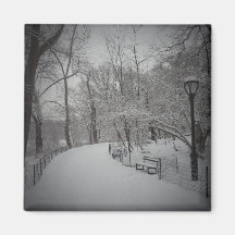 Snowstorm, Central Park, New York City Fridge Magnet