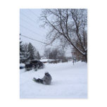 snowtubing. winter fun. postcards