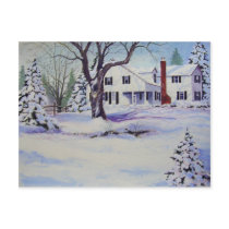 Snowy Back Yard- postcard