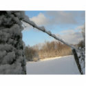 Snowy Barbwire Fence photo sculptures