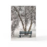 Snowy Bench Card