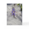 SNOWY BLUE FLOWER cards