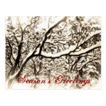 Snowy Branches Season's Greetings Postcard