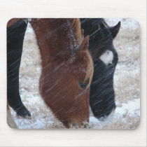 Snowy Eats Mouse Pads