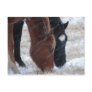Snowy Eats Post Cards
