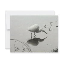 snowy egret fishing invitation