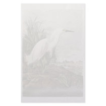 Snowy Egret, John Audubon Customized Stationery