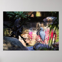Snowy Egret poster