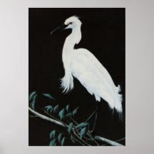 Snowy Egret print