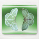 Snowy Emerald ~ mousepad