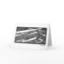Snowy Fence cards