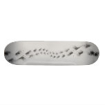 snowy footsteps skateboard