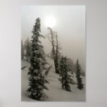 Snowy mountain and trees posters