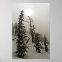Snowy mountain and trees posters