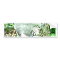 Snowy Owl Bird Bumper Sticker