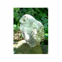 Snowy Owl Bird Cut Out