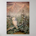 SNOWY OWL by SHARON SHARPE posters