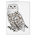 Snowy Owl Greeting Cards