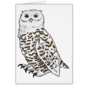 Snowy Owl cards
