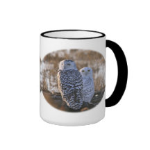 Snowy Owl Couple Coffee Mugs