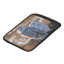 Snowy Owl Couple iPad Sleeve