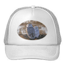 Snowy Owl Couple Mesh Hat