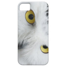Snowy Owl Eyes Picture on I Phone Case