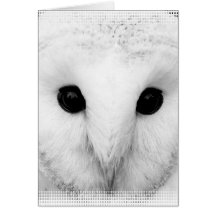 Snowy Owl Greeting Card