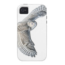Snowy Owl in Flight iPhone 4 Case