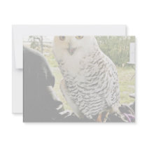 Snowy Owl Personalized Invitations